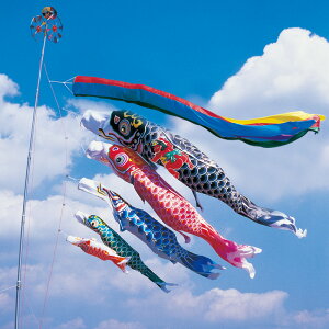 H 5m 8_ 5C Yt ܐFь ̂ڂ ^Zbg ^ix̂ڂ {