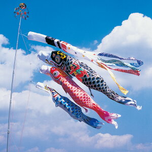 H 5m 6_ 3C Yt Q璹ь ̂ڂ ^Zbg ^ix̂ڂ {