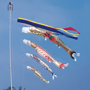  8m 7_ 4C Yt ܐFь ̂ڂ ^Zbg ^ix̂ڂ {