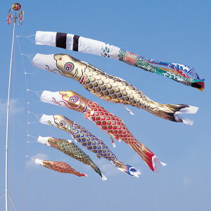  8m 8_ 5C 򗴐ь ̂ڂ ^Zbg ^ix̂ڂ {