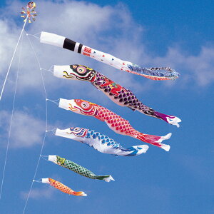  5m 8_ 5C Yt Q璹ь ̂ڂ ^Zbg ^ix̂ڂ {