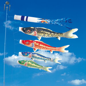 V 8m 7_ 4C ь ̂ڂ ^Zbg ^ix̂ڂ {