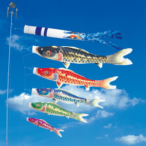 V 5m 8_ 5C ь ̂ڂ ^Zbg ^ix̂ڂ {