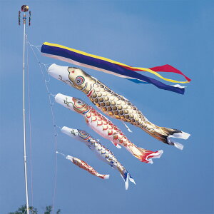  3m 7_ 4C ܐFь ̂ڂ ^Zbg ^ix̂ڂ {