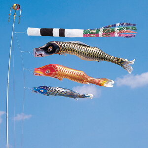 ] 1.2m iqEŒ^Cv Xp򗴐 z[ZbgH^Cv}VZbg12 ь ̂ڂ ^ix̂ڂ {