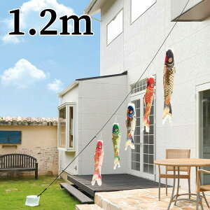 g˓V 1.2m C[W[̂ڂ肨ĂSET 5C ь ^ix̂ڂ r[T {