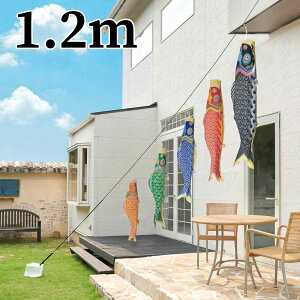 yÉߋ `IH|izV `{ߌ 1.2m l C[W[̂ڂ ĂZbg 5C ь ^ix̂ڂ r[T {