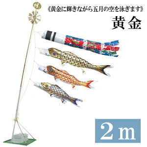  2m ܃X^h^Cv Xp򗴐ь z[ZbgC^CvX^hZbg20 ̂ڂ ̂ڂ ^ix̂ڂ {