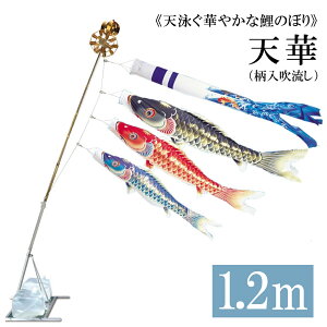 V 1.2m ܃X^h^Cv A~AL^X^hZbg 12 ь ^ix̂ڂ {