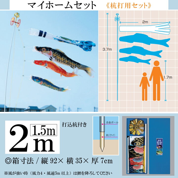 楽天市場】黄金 2m 杭打込みタイプ 五色吹き流し錦鯉 マイホーム 