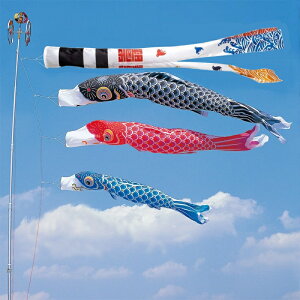 Ȃߌ 3m 6_ 3C Q璹 ь ̂ڂ ^Zbg ^ix̂ڂ {