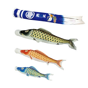  P ^̂ڂZbg 8m6_ oߋT  ̂ڂ {