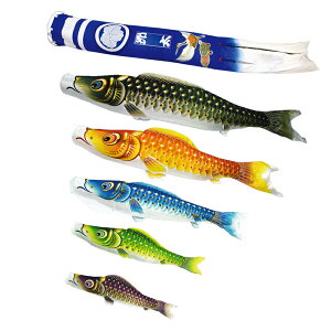 ʃ} ^̂ڂZbg 4m8_ oߋT  ̂ڂ {