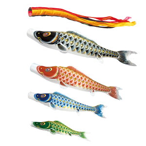 IX ^̂ڂZbg 6m7_ ܐF  ̂ڂ {