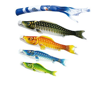 ʃ} ^̂ڂZbg 3m7_ V^ߋT  ̂ڂ {