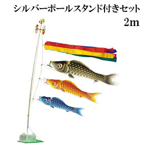 ʃ} 2m X^h^Cv   X^ĥڂZbg Vo[|[X^ht ܐF ̂ڂ {