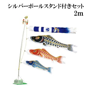 IX 2m X^h^Cv   X^ĥڂZbg Vo[|[X^ht V^ߋT ̂ڂ {