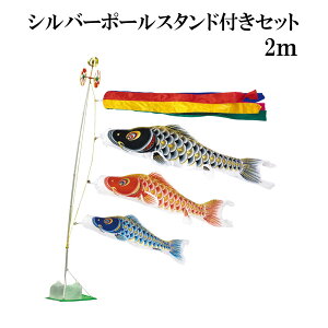 IX 2m X^h^Cv   X^ĥڂZbg Vo[X^ht ܐF ̂ڂ {