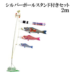 iCS[h Yt 2m X^h^Cv   X^ĥڂZbg Vo[|[X^ht ė {