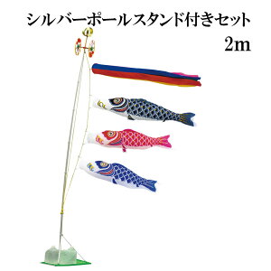 iCX^_[h YȂ 2m X^h^Cv   X^ĥڂZbg Vo[|[X^ht ܐF {