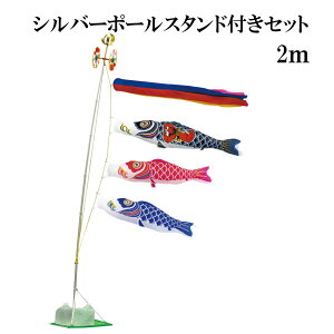 iCX^_[h Yt 2m X^h^Cv   X^ĥڂZbg Vo[|[X^ht ܐF {