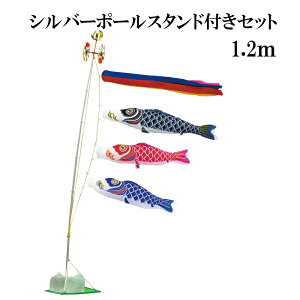 iCX^_[h YȂ 1.2m X^h^Cv   X^ĥڂZbg Vo[|[X^ht ܐF {