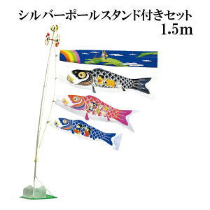 pN叫 1.5m X^h^Cv   X^ĥڂZbg Vo[|[X^ht ̂ڂ {