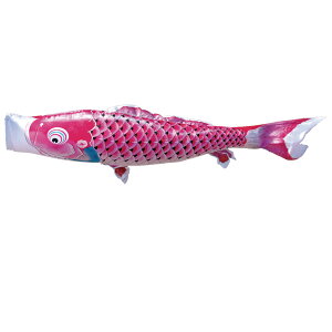 g sN 0.8m i Pi ̂ڂ ̂ڂ KOINOBORI