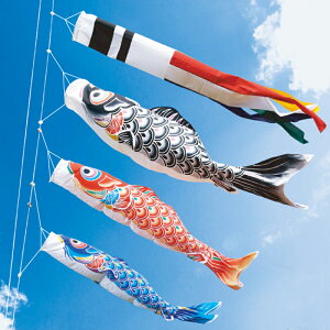 `FT̂ڂ t 3m6_ 3C 뉀pK[f^Cv Ył i 뉀pK[fZbg ̂ڂ ̂ڂ KOINOBORI {