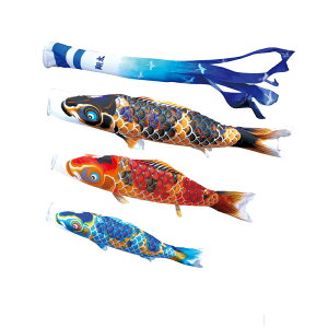  2.5m6_ 3C X^h^Cv 뉀p  i 뉀X^hZbg ŷڂ ̂ڂ [߂̐ߋ q̓ KOINOBORIz {