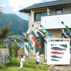  1.5m7_ 4C ɂfRZbg i ̂ڂ ̂ڂ KOINOBORI {