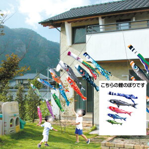  1.5m7_ 4C ɂfRZbg i ̂ڂ ̂ڂ KOINOBORI {