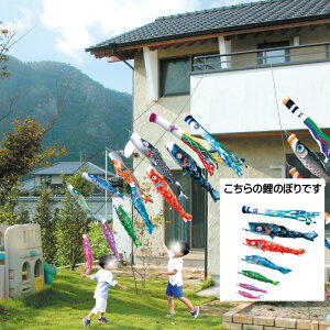  1.2m9_ 6C ɂfRZbg i ̂ڂ ̂ڂ KOINOBORI {