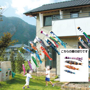 ߂񋞋 1.5m6_ 3C ɂfRZbg i ̂ڂ ̂ڂ KOINOBORI {