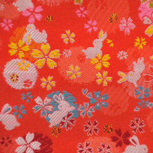 E n wD V  sDz j-1 an ܂ݍ׍H an a E