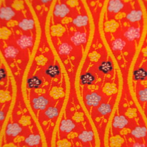 E n wD Nɏ  sDz 0-1 an ܂ݍ׍H an a E