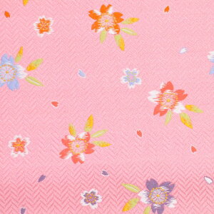 E n U炵 sN sDzt 69 an ܂ݍ׍H an a E