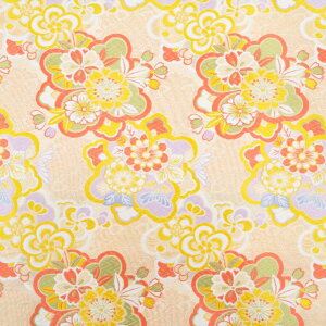 E n ؖ  sDzt 46 an ܂ݍ׍H an a E