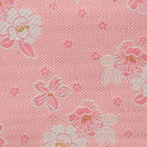 E n  sN sDzt 184 an ܂ݍ׍H an a E