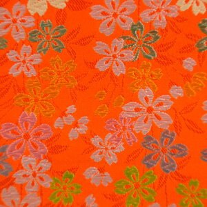 E n  F sDzt 219 an ܂ݍ׍H an a E