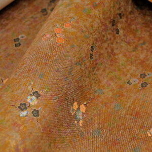 E n ђn  sDzt 54 an ܂ݍ׍H an a E