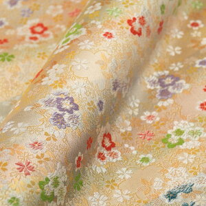 E n wD Ԋ  sDzt c-1 an ܂ݍ׍H an a E