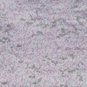 E n wD  g-1 o~ sDz\薳 an ܂ݍ׍H an a E