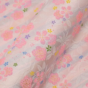 E n wD ؓ  sDzt g-2 an ܂ݍ׍H an a E