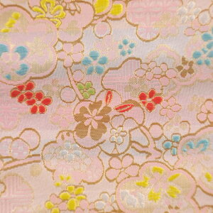 E n wD ~ nɃsN sDz a-2 an ܂ݍ׍H an a E