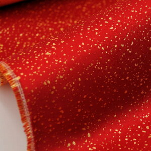 E n wD 䍻q  sDz e-1 an ܂ݍ׍H an a E