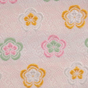 E n wD LE  sDz i-2 an ܂ݍ׍H an a E