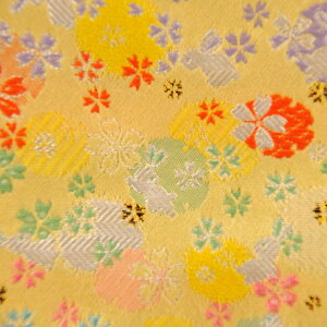 ���E ���n ���w�D �������V�� ���F �s�D�z�t�� j-1 �a�����n �܂ݍ׍H �a�����n �a�� ���E