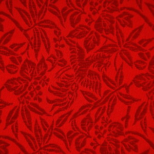 E n wD ˖P  sDz f-1 an ܂ݍ׍H an a E