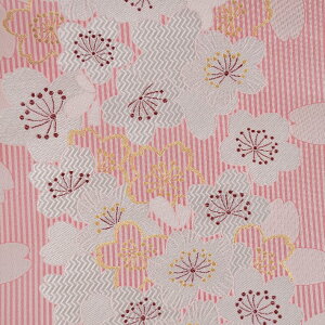 E n wD J  sDz c-2 an ܂ݍ׍H an a E